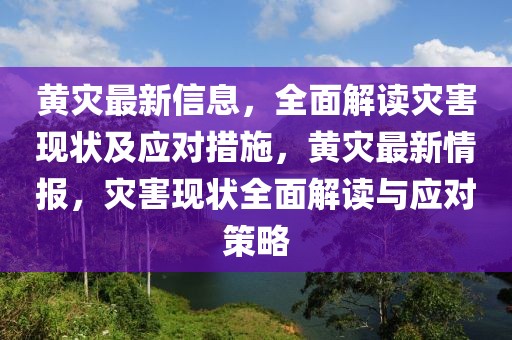 黄灾最新信息，全面解读灾害现状及应对措施，黄灾最新情报，灾害现状全面解读与应对策略