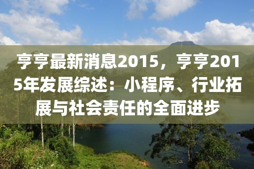 亨亨最新消息2015，亨亨2015年发展综述：小程序、行业拓展与社会责任的全面进步