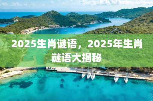 2025生肖谜语，2025年生肖谜语大揭秘