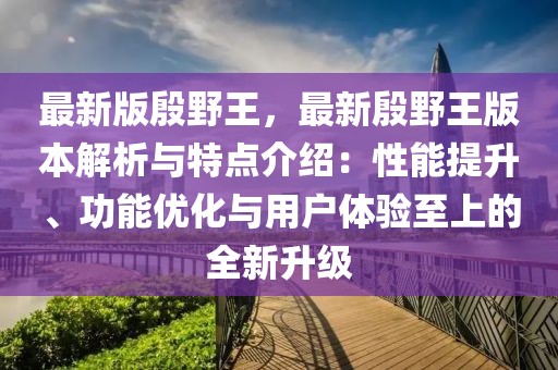 最新版殷野王，最新殷野王版本解析与特点介绍：性能提升、功能优化与用户体验至上的全新升级