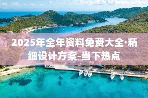 2025年全年资料免费大全·精细设计方案-当下热点