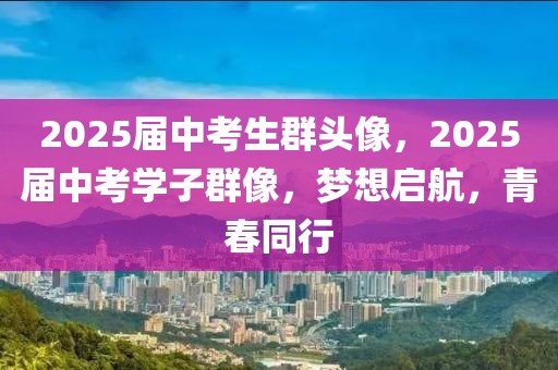 swm2025宾客计划，SWM2025宾客计划，打造未来宾客体验蓝图