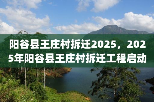 阳谷县王庄村拆迁2025，2025年阳谷县王庄村拆迁工程启动