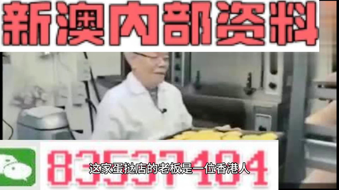 澳门今天内部资料精准大全，澳门内部资料精准大全背后的犯罪风险警示