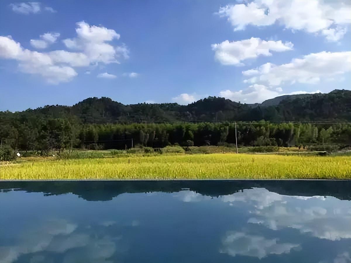 风景哥最新节奏怎么没了，风景哥节奏之谜，神秘消失背后的真相