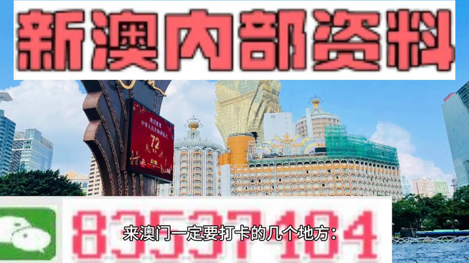 澳门金牛版正版网址，澳门金牛版正版网址——揭示潜在犯罪风险