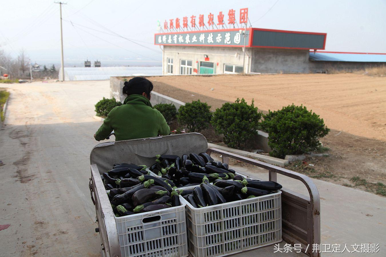 运城去上海能开车吗最新，运城至上海自驾出行最新资讯，路况与路线指南