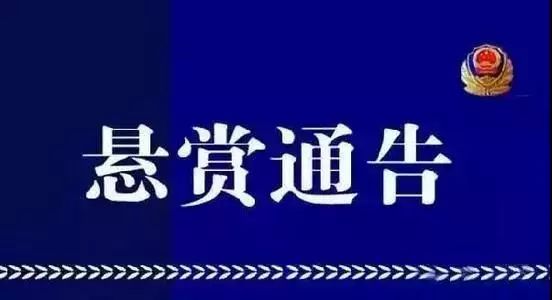 澳门正版四大论坛网站，澳门正版四大论坛网站，犯罪违法行为的警示标题