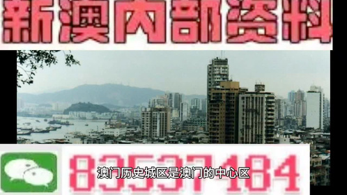 澳门2024全年免费资枓，澳门2024全年免费资料背后的犯罪风险警示