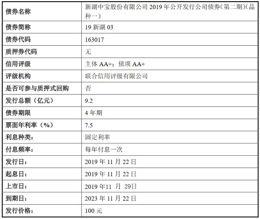 新湖中宝传闻最新消息，深度解析与前景展望，新湖中宝最新传闻深度解析与前景展望