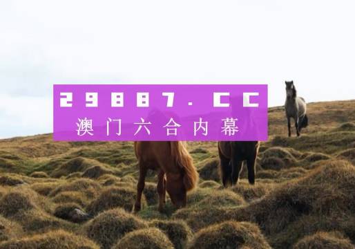 新澳门开奖结果2023开奖记录，澳门开奖结果2023年最新记录揭晓