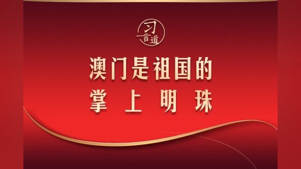 澳门澳117正牌资料正版挂牌，澳门澳117正牌资料正版挂牌背后的犯罪问题探究