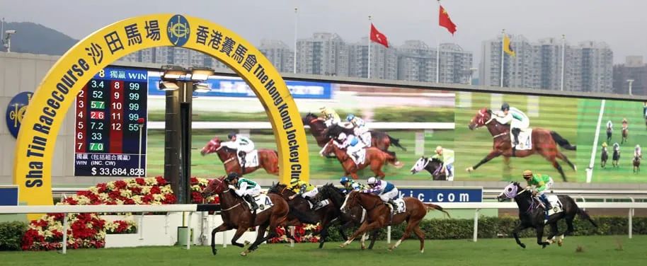 香港买马12生肖号码图，香港买马生肖号码图揭秘