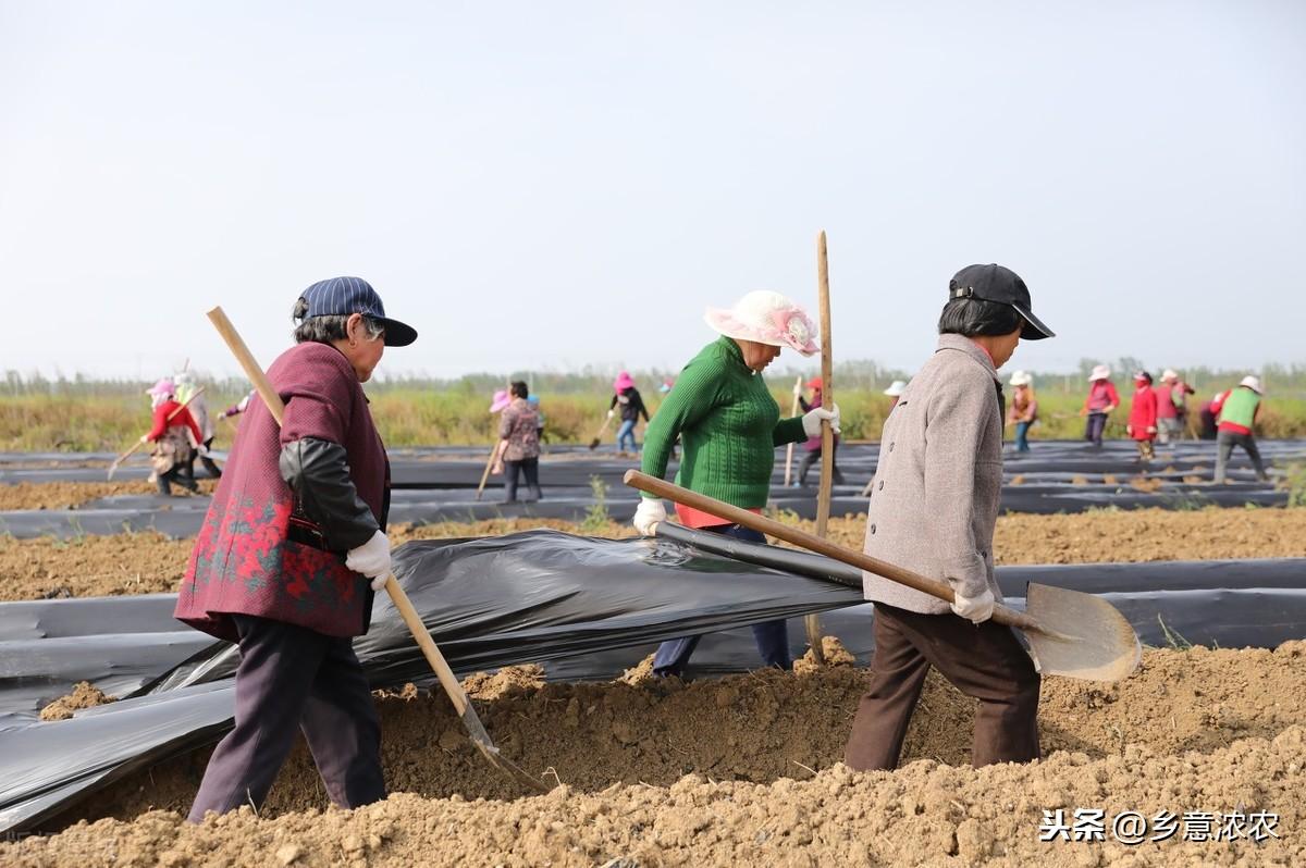 st碳稀最新消息，ST碳稀最新动态报道