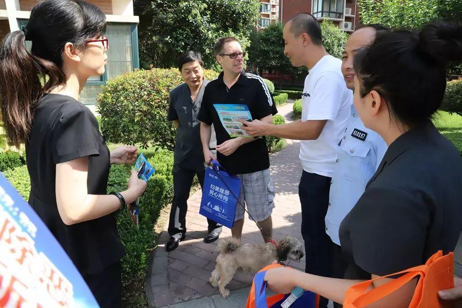 长安行动版新能源，引领绿色出行新潮流，解析环保与性能的完美结合，长安行动版新能源，绿色出行先锋，环保性能双剑合璧解析