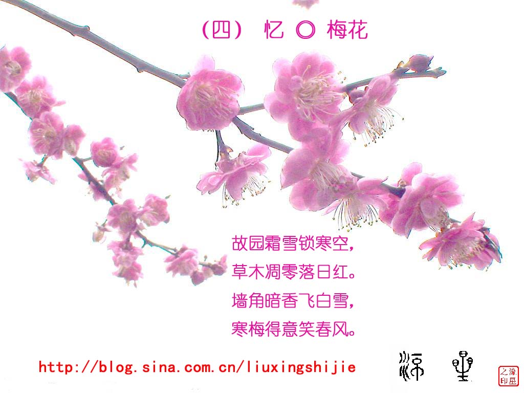 澳门正版梅花诗307期，澳门正版梅花诗第307期解析