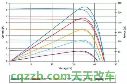 2024年12月21日 第84页