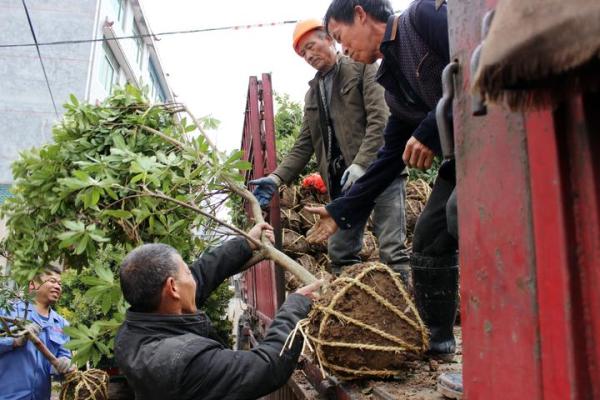 兰溪新能源货车报价大全,兰溪新能源货车报价大全表，兰溪新能源货车报价汇总，最新报价大全表