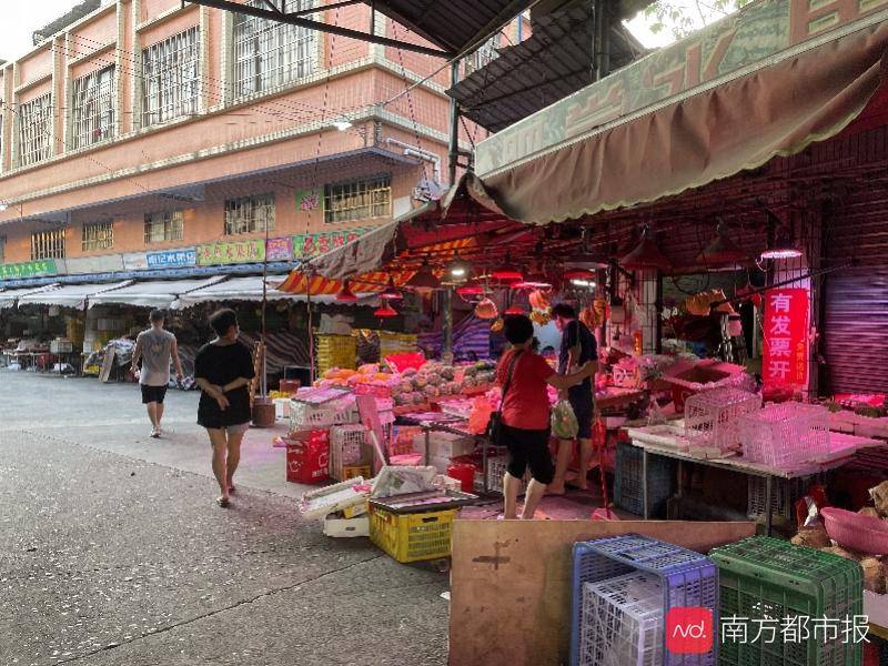 香港开码现场直播开奖结果，香港开码现场直播开奖结果揭晓