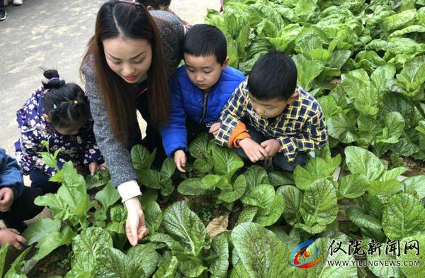 仪陇县最新动态，能入城政策最新消息解读，仪陇县最新入城政策解读，最新动态全解析