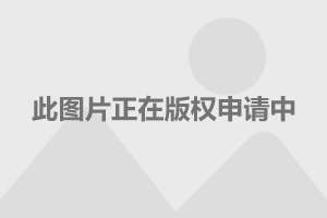 全新新能源宝马630i，豪华与科技的完美结合，全新新能源宝马630i，豪华与科技的无缝融合