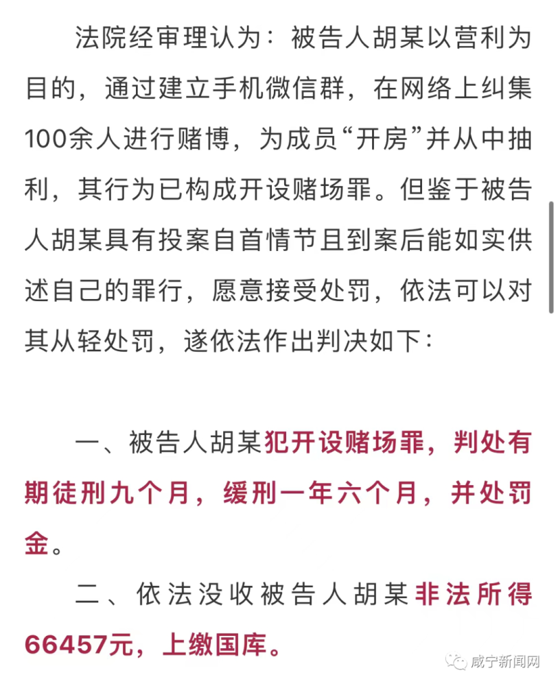 澳门彩正版网站，澳门彩正版网站——揭示违法犯罪背后的风险与警示