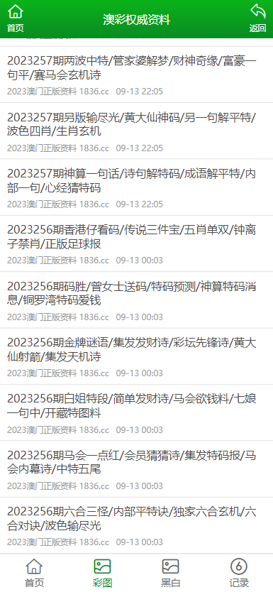 2024新澳传真正版资料大全，2024新澳正版资料大全，全面解析与汇总