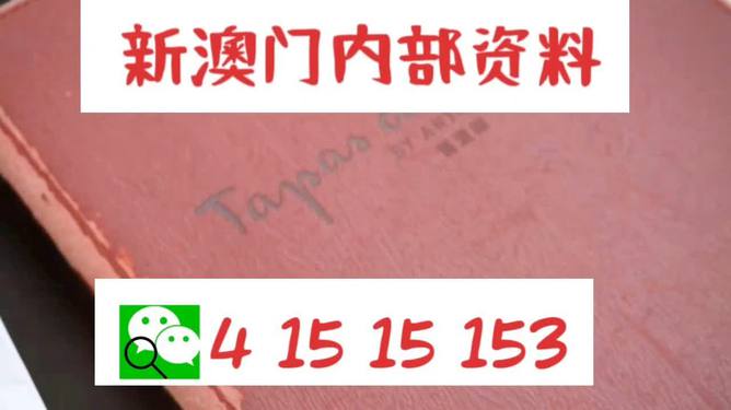 新澳门今晚精准，澳门今晚精准预测，警惕违法犯罪风险