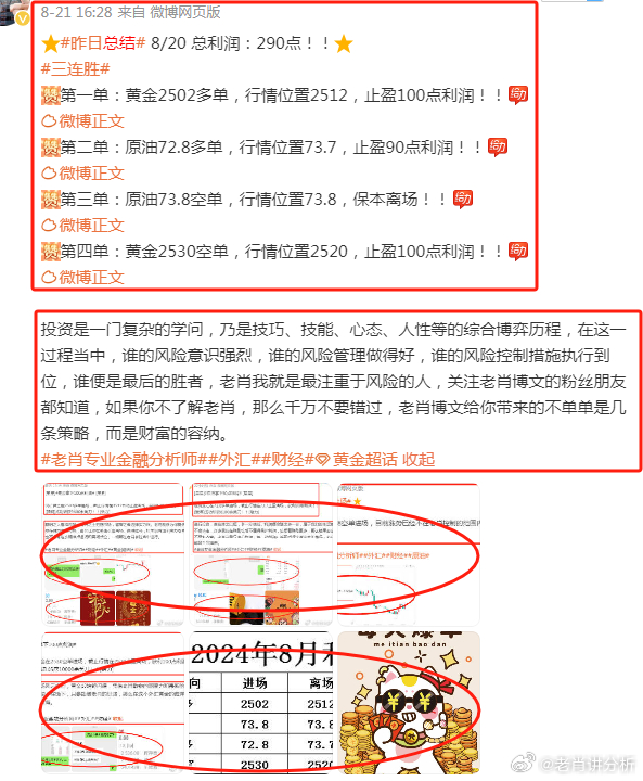 2024年澳门管家婆正版资料，澳门正版资料揭秘，2024年管家婆预测报告