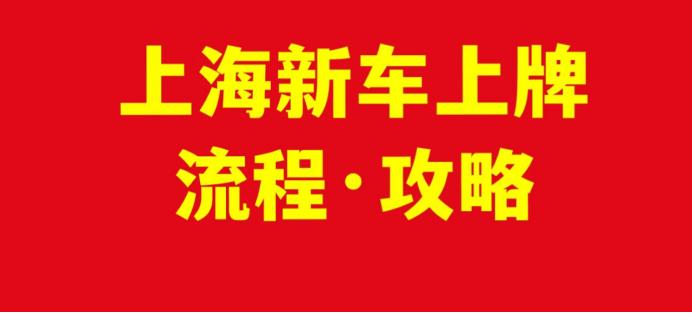 新能源车外地牌照问题解析，能否跨区域行驶？，新能源车外地牌照跨区域行驶攻略与法规解读