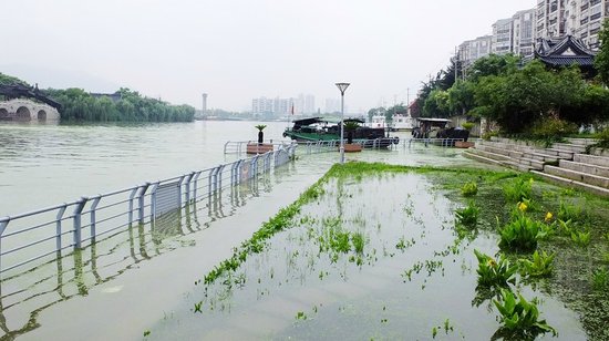 西华黄桥颍河最新水位，西华黄桥颍河最新水位信息公告