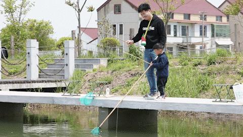 龙湖龙虾价格走势图最新，龙湖龙虾价格走势图及最新动态分析