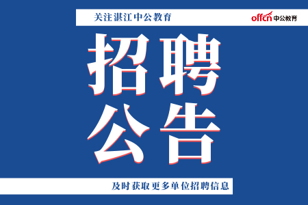 湛江麻章最新招聘消息，职业发展的热门选择与机会，湛江麻章最新招聘讯息，职业发展的热门选择与机会