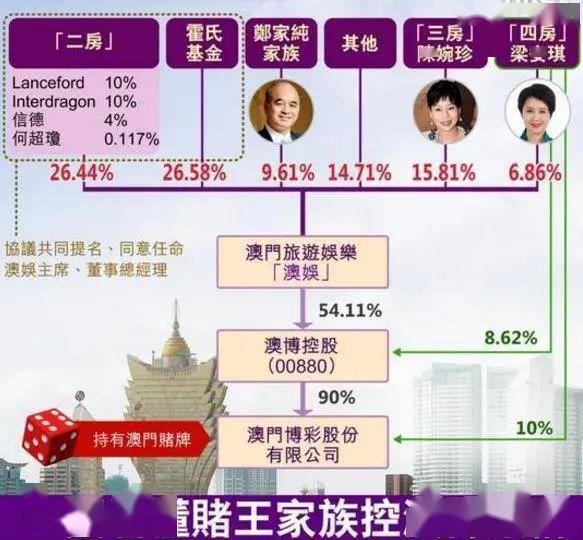 年澳门正版资料免费，澳门正版资料免费获取背后的犯罪问题探讨