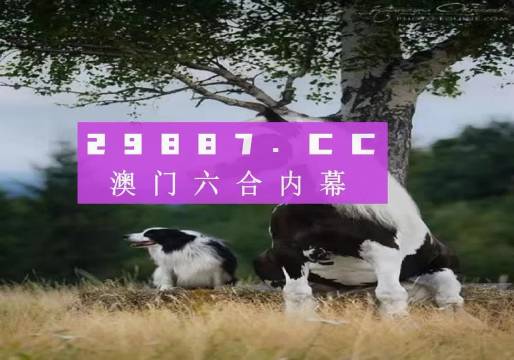 355期澳门正版四不像，澳门正版四不像第355期揭晓