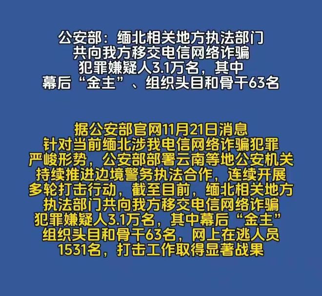 澳门管家婆三肖三码，澳门管家婆三肖三码，揭示犯罪背后的真相