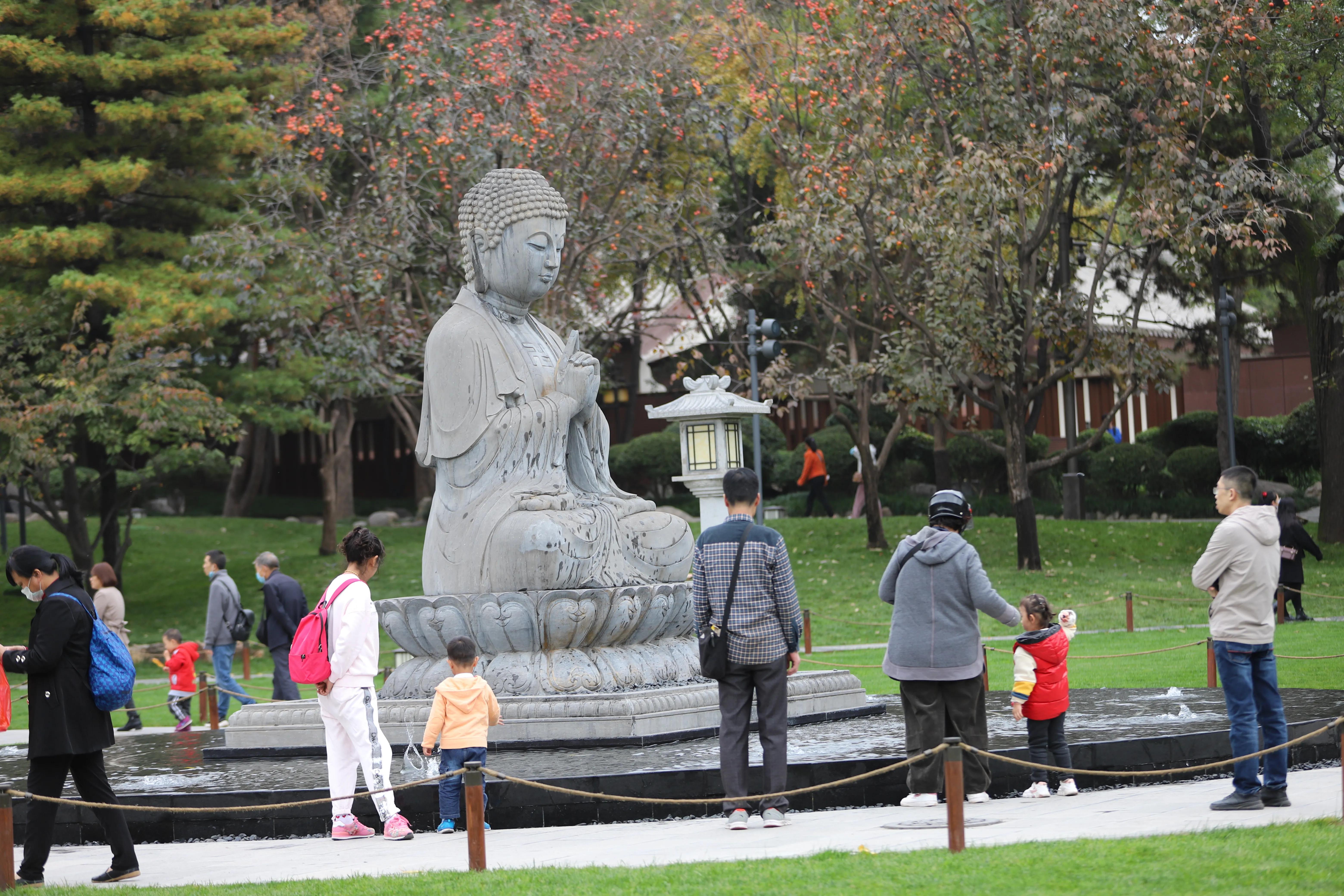 唐大慈恩寺最新新闻，唐大慈恩寺最新动态报道