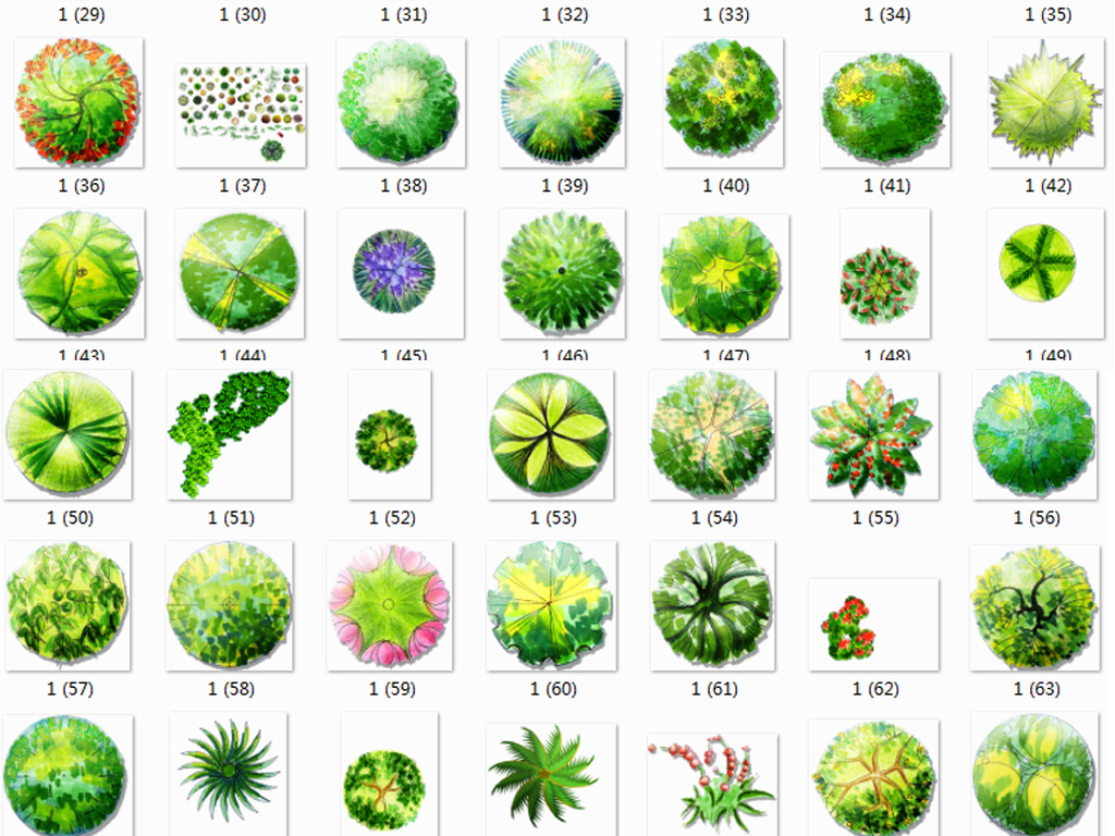 35图库大全彩图看图专区一看图纸，35图库大全彩图看图专区详解图纸内容