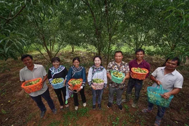 镇宁新能源电动车厂，镇宁新能源电动车厂，绿色出行的制造力量