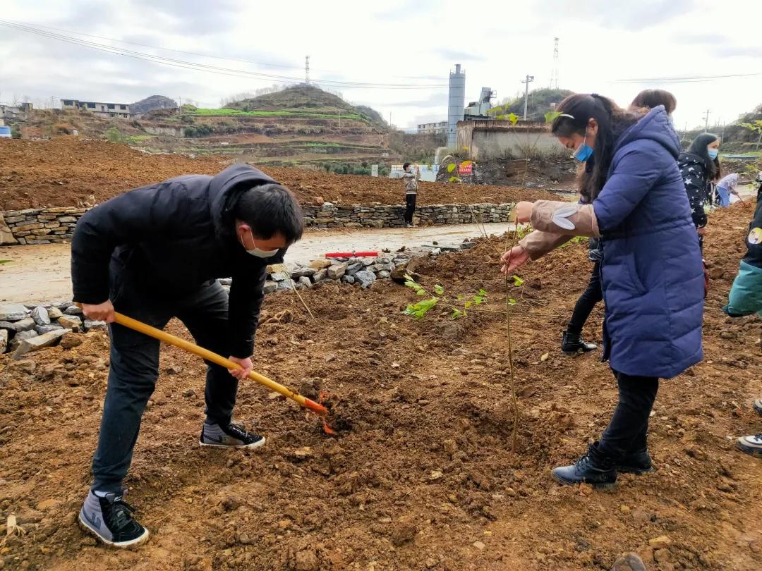 镇宁新能源电动车厂，镇宁新能源电动车厂，绿色出行的制造力量