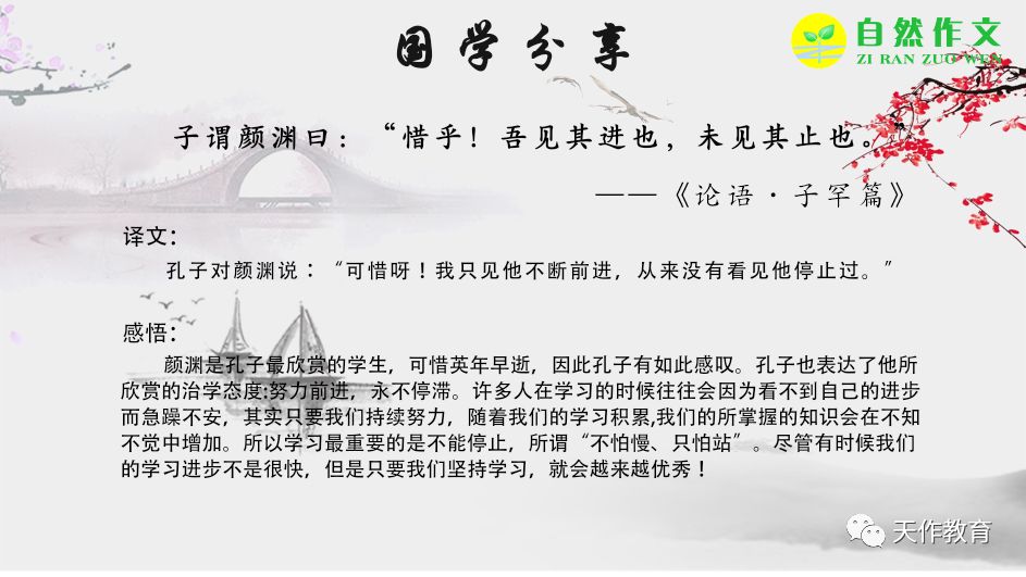 吾丰登最新一期，吾丰登最新一期，内容精选与深度解读