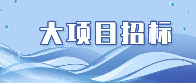 湛江最新投标招标官网，湛江招标投标信息平台官方网站