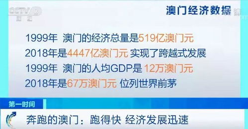 年澳门正版免费资料查询，澳门正版资料查询需警惕犯罪风险