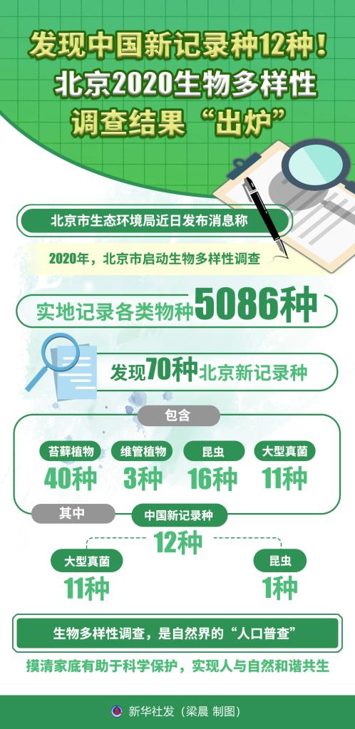 澳门六开彩开奖结果今天查询结果记录,澳门六开彩开奖结果今天查询结果记录表，澳门六开彩开奖结果查询记录与犯罪风险警示