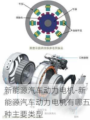 新能源电机标号在哪里查，新能源电机标号查询指南