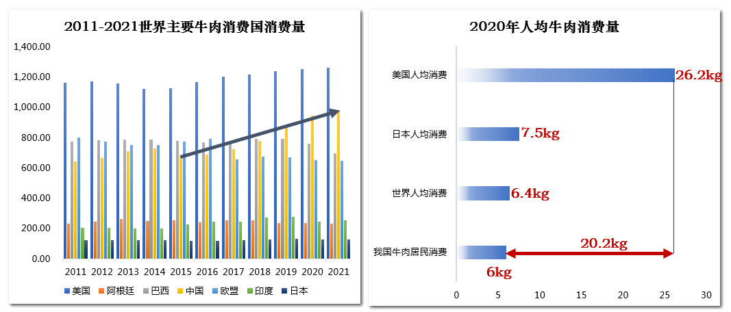 最新牛肉生鲜销量排行榜，市场趋势与消费者偏好分析，最新牛肉生鲜销量排行榜，市场趋势与消费者偏好深度解析