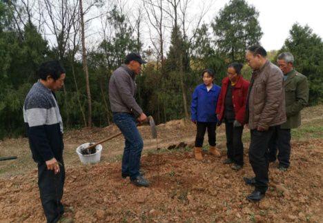 小车长期加新能源油，环保经济两不误，新能源油助力小车，实现环保与经济双赢