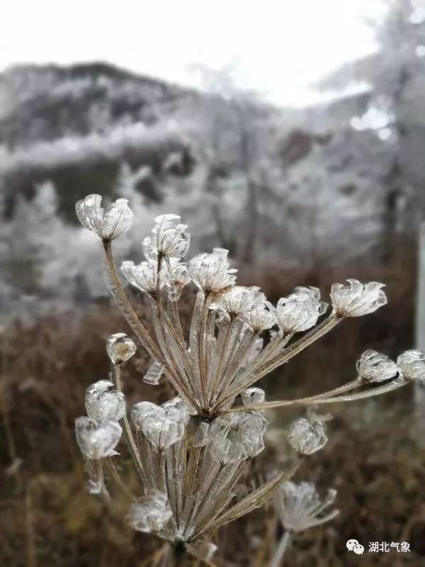 武汉天气初雪最新消息，武汉初雪来临，最新天气消息更新