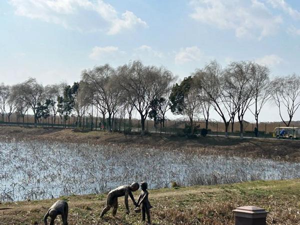 青西郊野公园最新消息，青西郊野公园最新动态概览