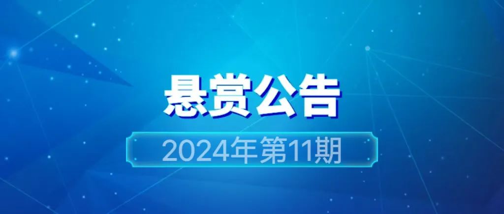 2024年管家婆的马资料57期，2024年管家婆马资料第57期解析